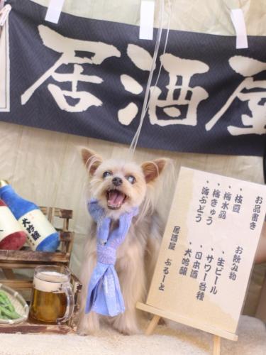 20240629ココちゃん